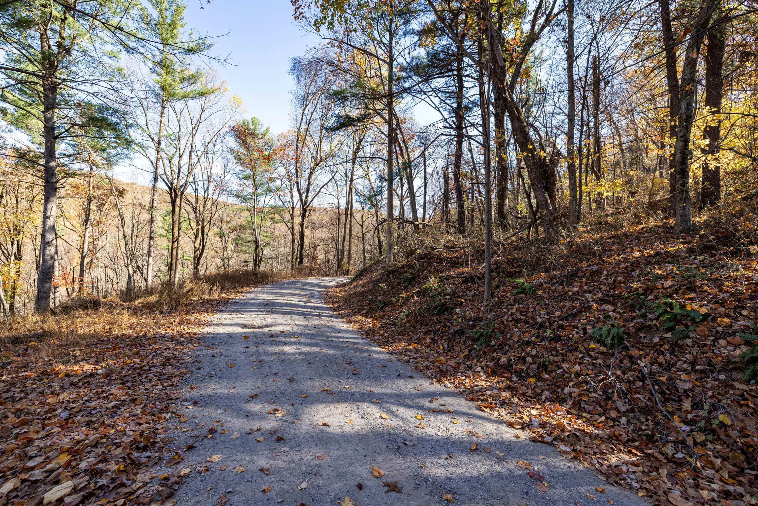 0 FRIENDLY LN, STANLEY, Virginia 22851, ,Land,0 FRIENDLY LN,675849 MLS # 675849