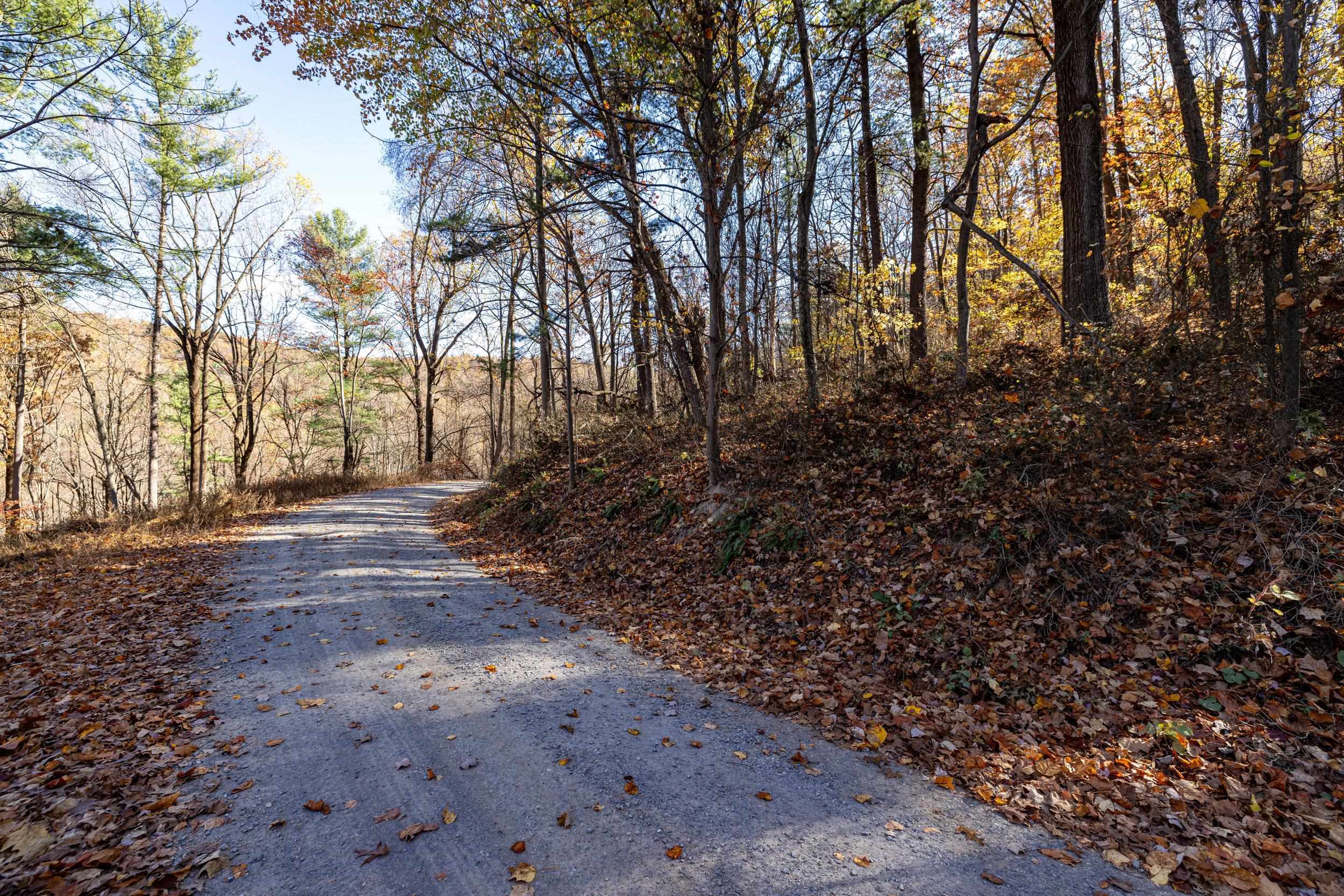 0 FRIENDLY LN, STANLEY, Virginia 22851, ,Land,0 FRIENDLY LN,675849 MLS # 675849