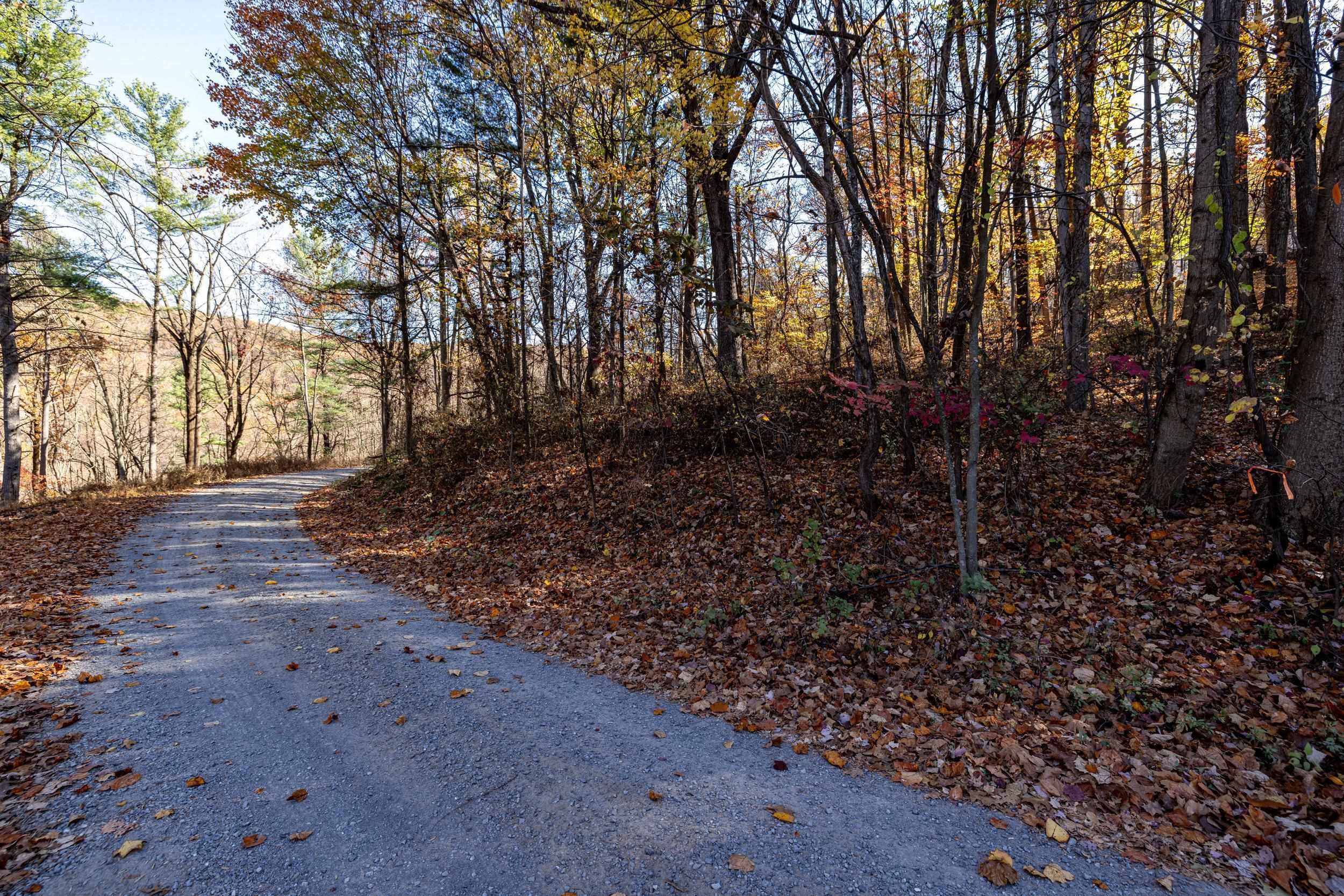 0 FRIENDLY LN, STANLEY, Virginia 22851, ,Land,0 FRIENDLY LN,675849 MLS # 675849