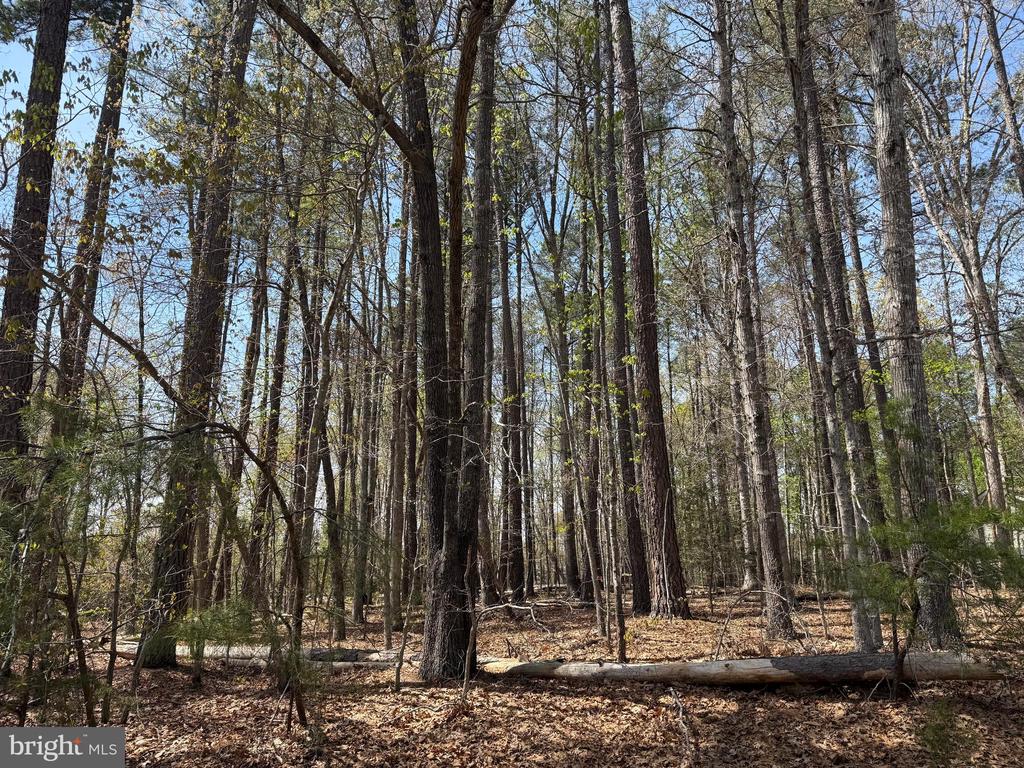 WINDWOOD COVES BLVD, MINERAL, Virginia 23117, ,Land,WINDWOOD COVES BLVD,VALA2009618 MLS # VALA2009618