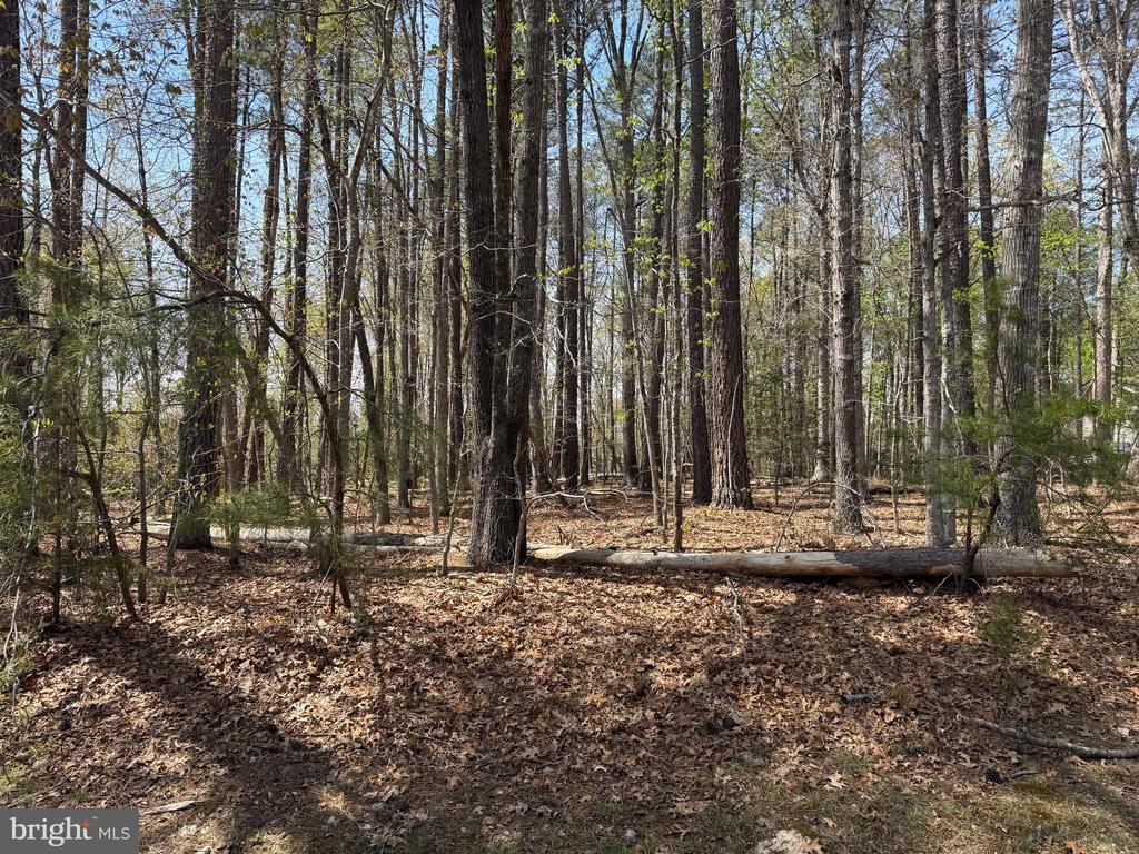 WINDWOOD COVES BLVD, MINERAL, Virginia 23117, ,Land,WINDWOOD COVES BLVD,VALA2009618 MLS # VALA2009618