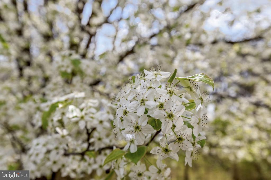 11464 WINSLOW DR, ORANGE, Virginia 22960, 3 Bedrooms Bedrooms, ,2 BathroomsBathrooms,Residential,11464 WINSLOW DR,VAOR2013690 MLS # VAOR2013690