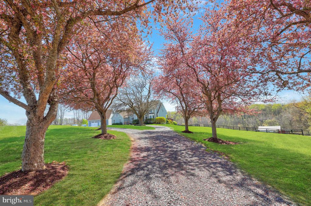 9393 BRIAR LN, DELAPLANE, Virginia, 4 Bedrooms Bedrooms, ,3 BathroomsBathrooms,Residential,9393 BRIAR LN,VAFQ2020592 MLS # VAFQ2020592