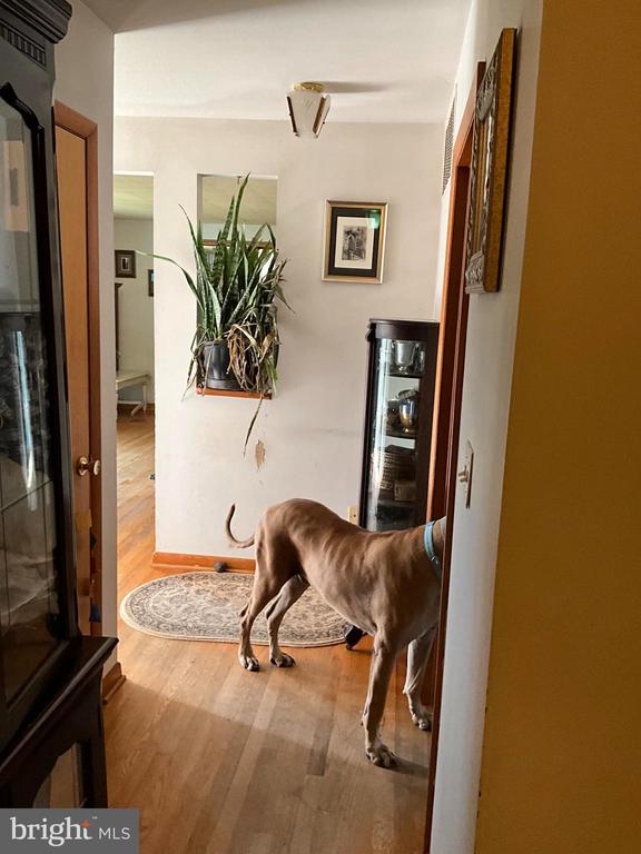 16080 NEWBYS SHOP, ELKWOOD, Virginia 22718, ,Residential,16080 NEWBYS SHOP,VACU2013284 MLS # VACU2013284