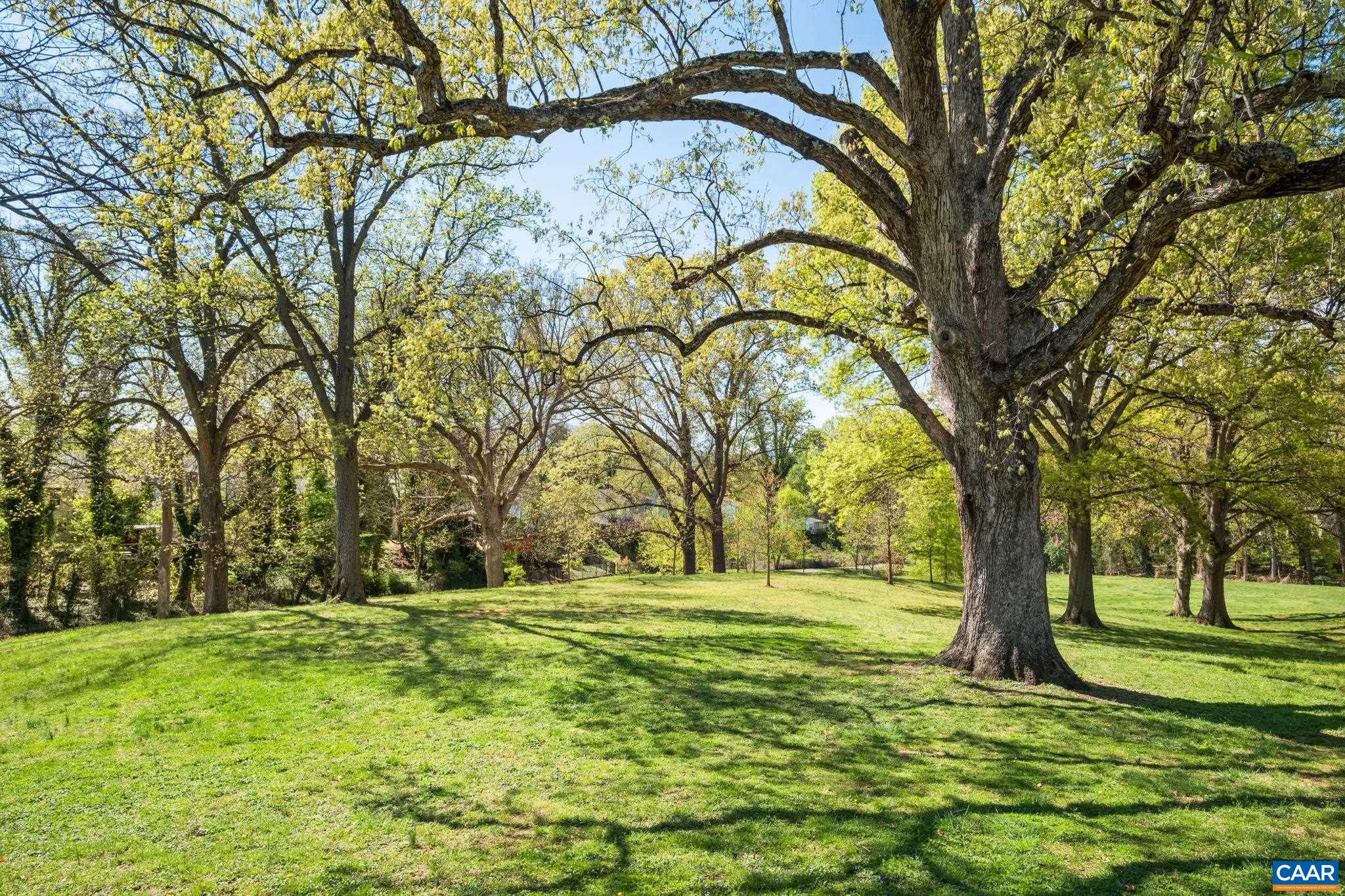 Beautiful green space beyond the fenced back yard.