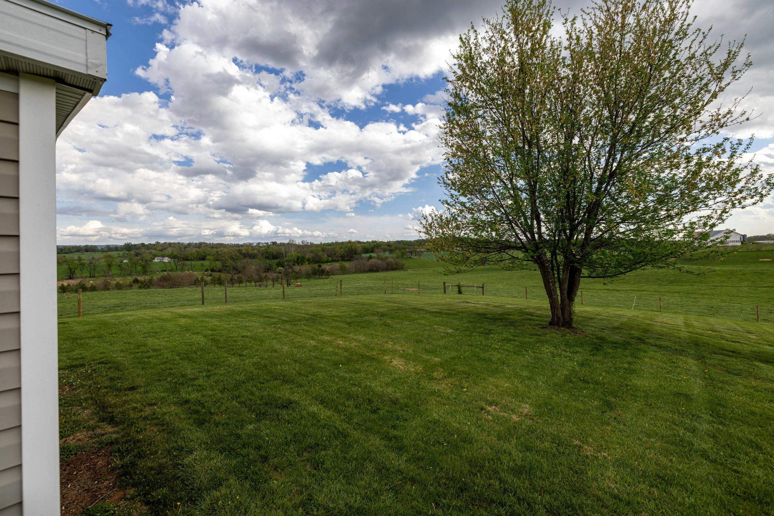 14196 AMERICAN LEGION DR, BROADWAY, Virginia 22815, 3 Bedrooms Bedrooms, ,2 BathroomsBathrooms,Residential,14196 AMERICAN LEGION DR,675835 MLS # 675835