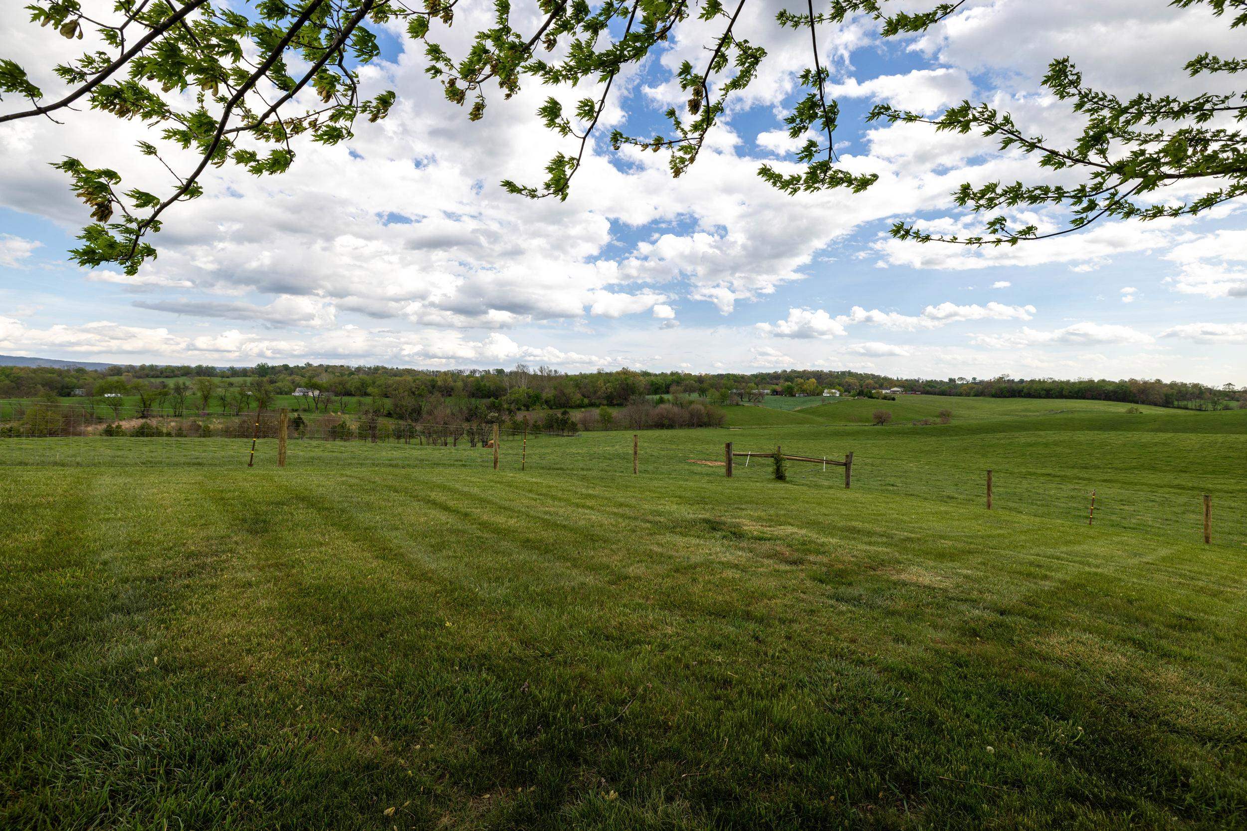 14196 AMERICAN LEGION DR, BROADWAY, Virginia 22815, 3 Bedrooms Bedrooms, ,2 BathroomsBathrooms,Residential,14196 AMERICAN LEGION DR,675835 MLS # 675835