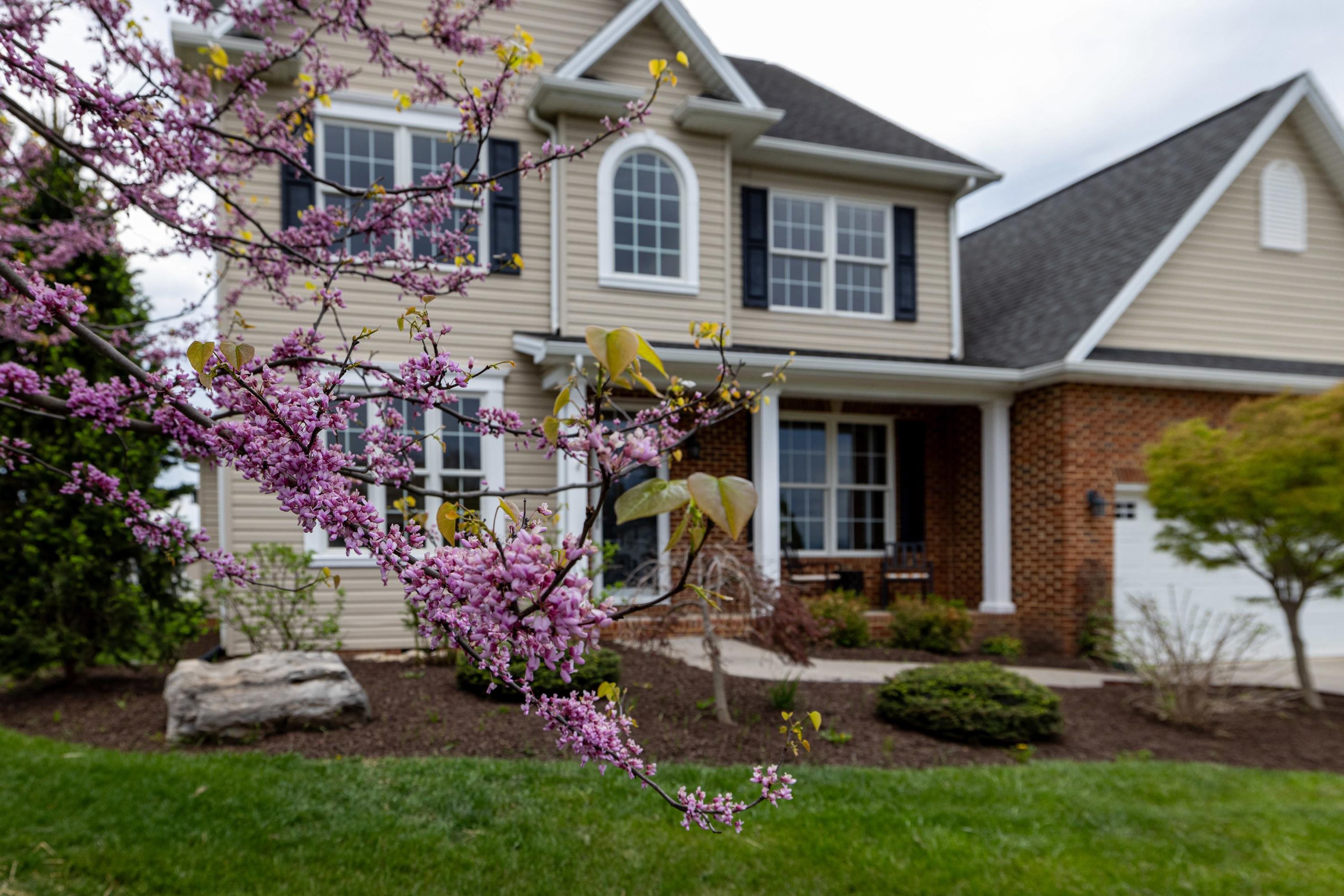 2625 RISING ROCK CT, ROCKINGHAM, Virginia 22802, 5 Bedrooms Bedrooms, ,3 BathroomsBathrooms,Residential,2625 RISING ROCK CT,675841 MLS # 675841