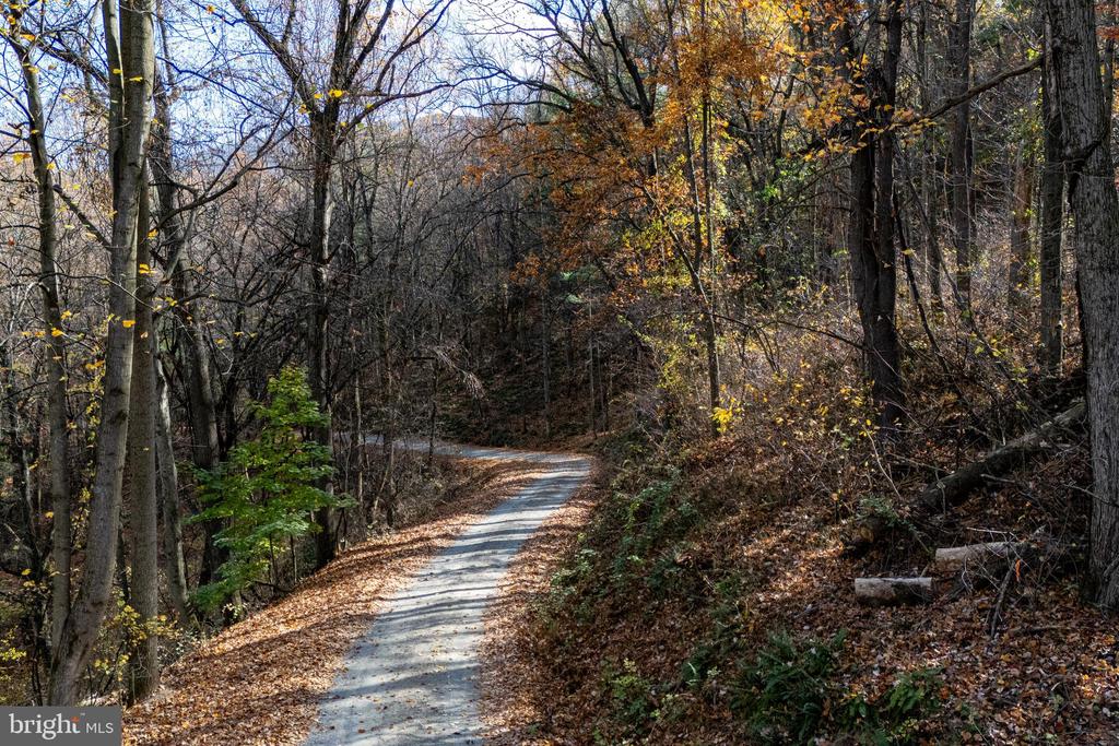 0 FRIENDLY LN, STANLEY, Virginia 22851, ,Land,0 FRIENDLY LN,VAPA2006274 MLS # VAPA2006274