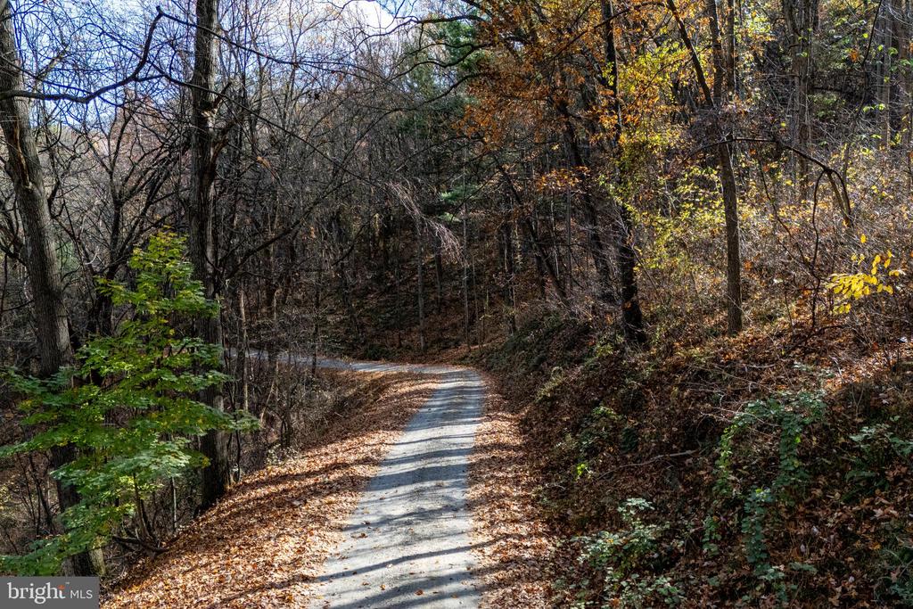 0 FRIENDLY LN, STANLEY, Virginia 22851, ,Land,0 FRIENDLY LN,VAPA2006274 MLS # VAPA2006274