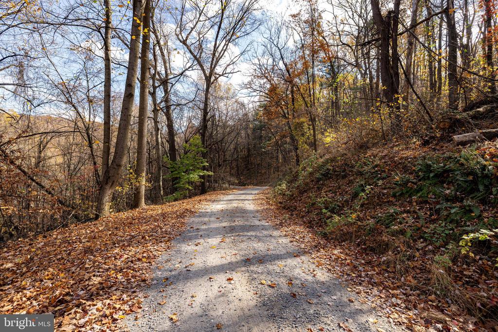 0 FRIENDLY LN, STANLEY, Virginia 22851, ,Land,0 FRIENDLY LN,VAPA2006274 MLS # VAPA2006274