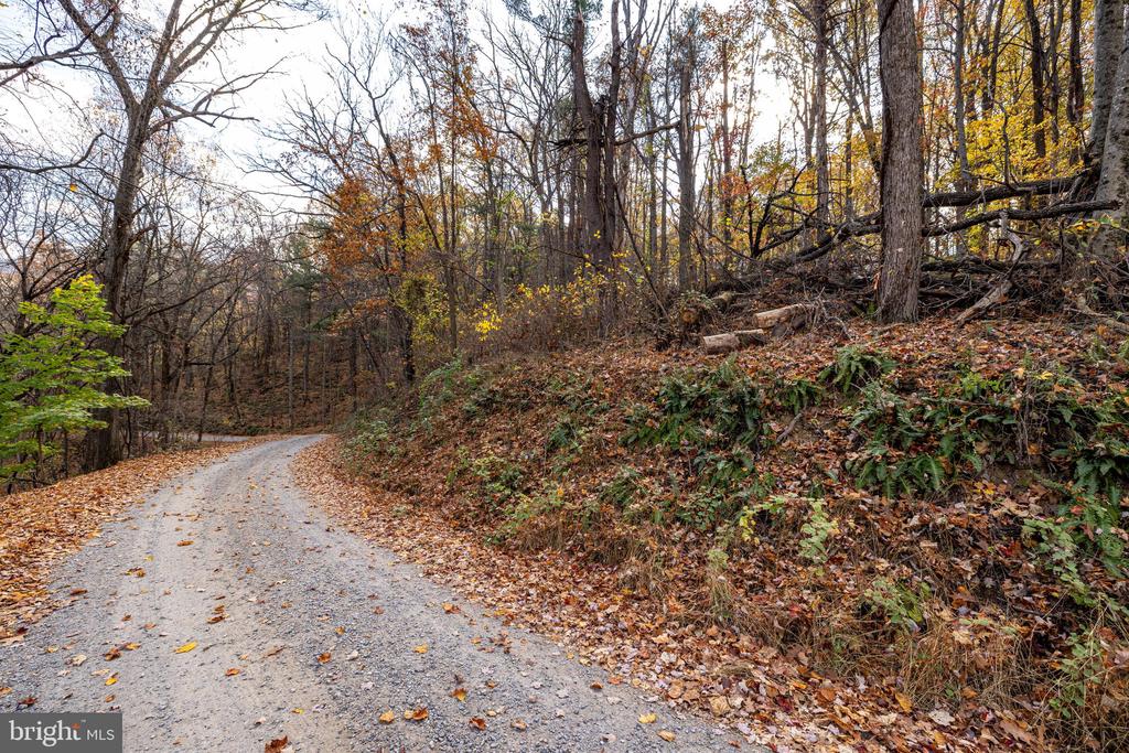 0 FRIENDLY LN, STANLEY, Virginia 22851, ,Land,0 FRIENDLY LN,VAPA2006274 MLS # VAPA2006274