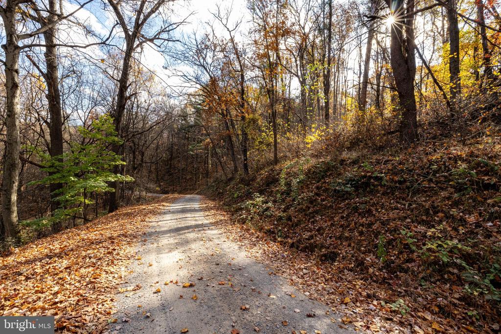 0 FRIENDLY LN, STANLEY, Virginia 22851, ,Land,0 FRIENDLY LN,VAPA2006274 MLS # VAPA2006274