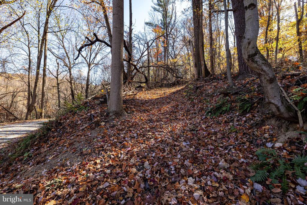 0 FRIENDLY LN, STANLEY, Virginia 22851, ,Land,0 FRIENDLY LN,VAPA2006274 MLS # VAPA2006274