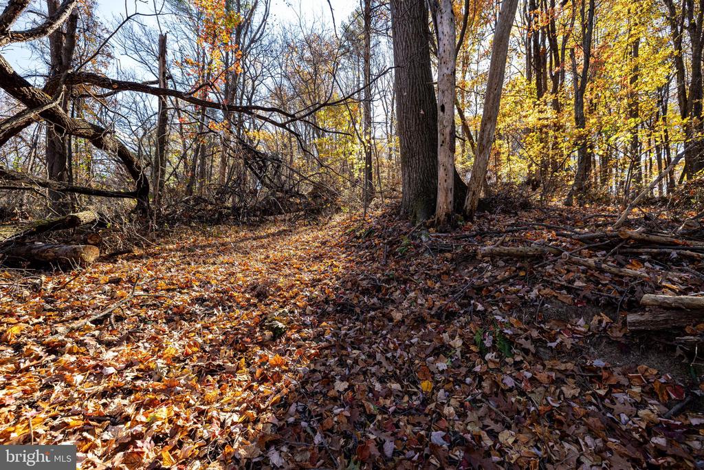 0 FRIENDLY LN, STANLEY, Virginia 22851, ,Land,0 FRIENDLY LN,VAPA2006274 MLS # VAPA2006274