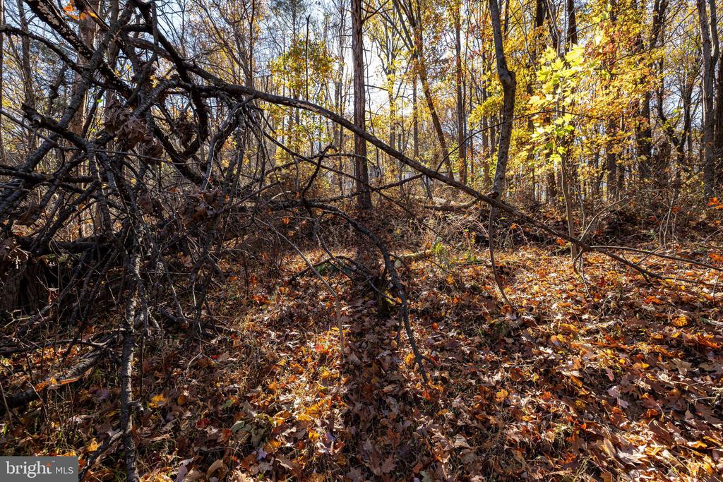 0 FRIENDLY LN, STANLEY, Virginia 22851, ,Land,0 FRIENDLY LN,VAPA2006274 MLS # VAPA2006274