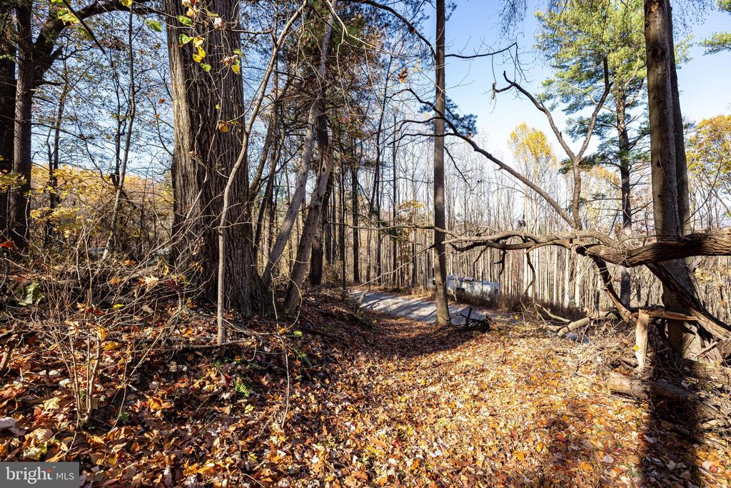 0 FRIENDLY LN, STANLEY, Virginia 22851, ,Land,0 FRIENDLY LN,VAPA2006274 MLS # VAPA2006274