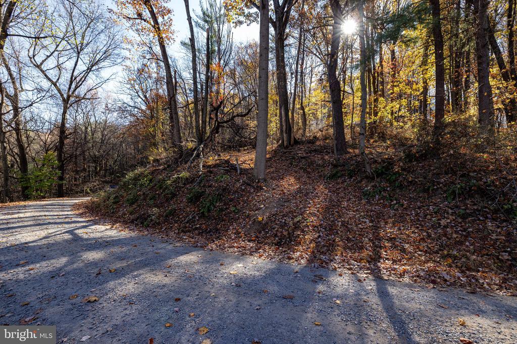 0 FRIENDLY LN, STANLEY, Virginia 22851, ,Land,0 FRIENDLY LN,VAPA2006274 MLS # VAPA2006274