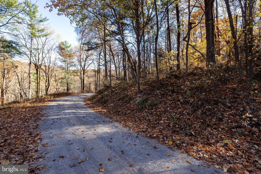 0 FRIENDLY LN, STANLEY, Virginia 22851, ,Land,0 FRIENDLY LN,VAPA2006274 MLS # VAPA2006274