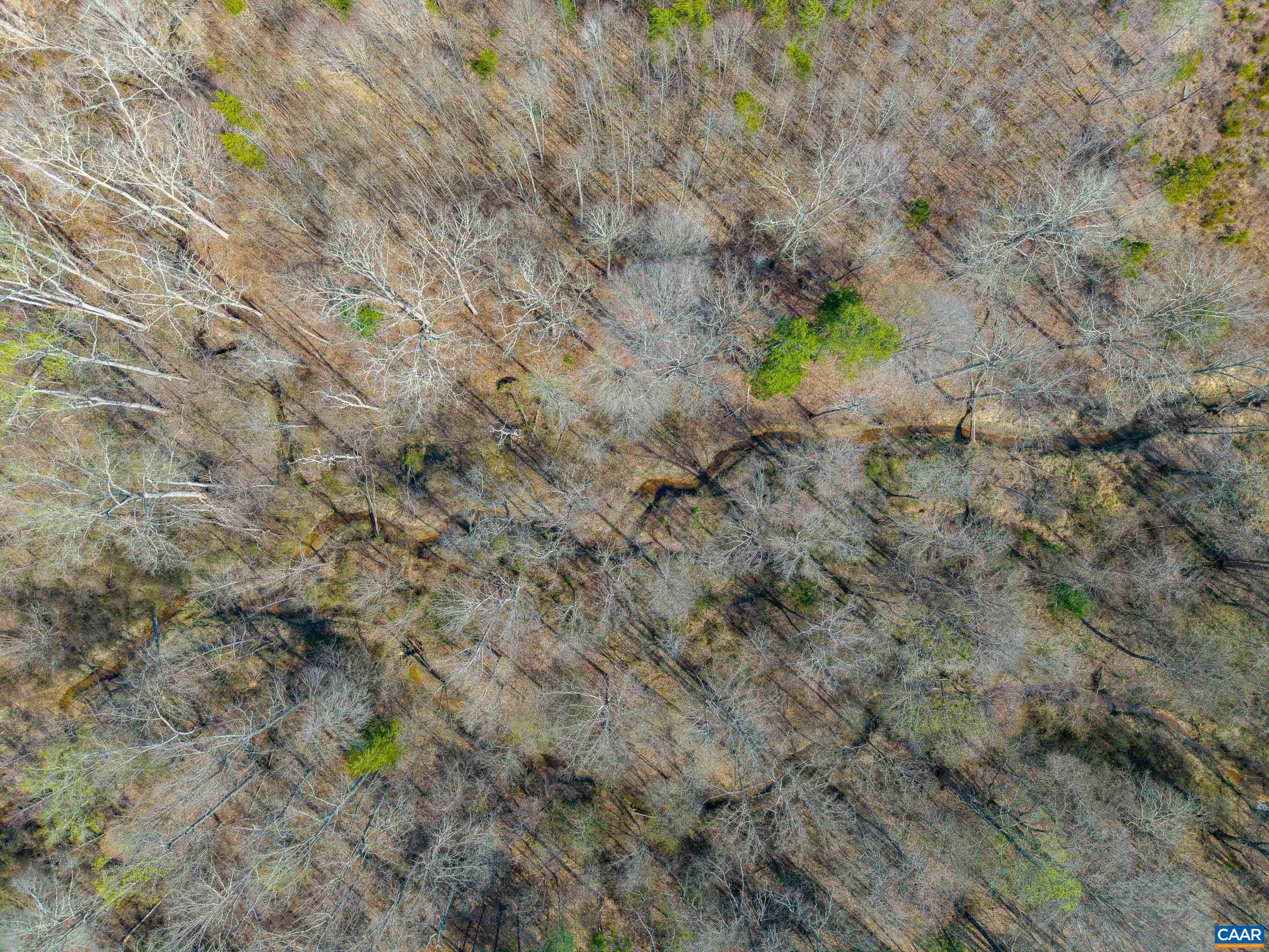 0000 CHURCHWOOD LN, CUMBERLAND, Virginia 23040, ,Farm,0000 CHURCHWOOD LN,675634 MLS # 675634