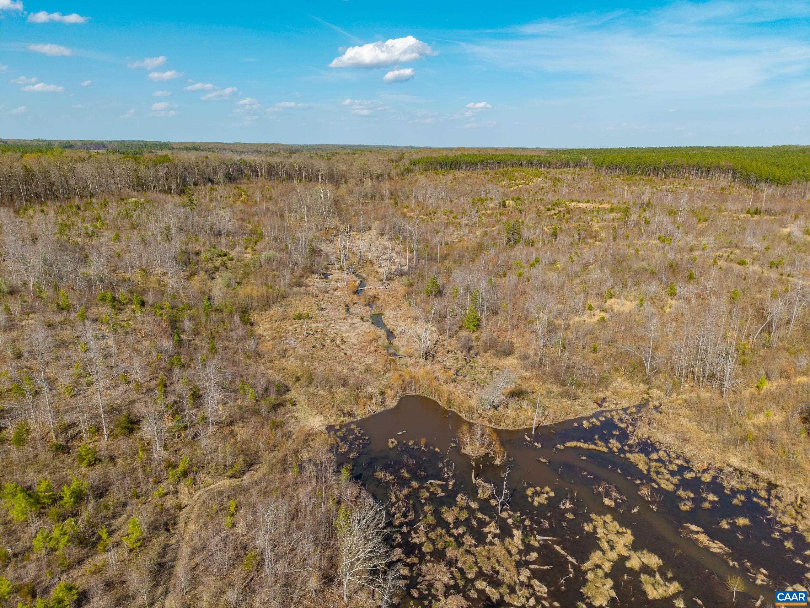 0000 CHURCHWOOD LN, CUMBERLAND, Virginia 23040, ,Farm,0000 CHURCHWOOD LN,675634 MLS # 675634