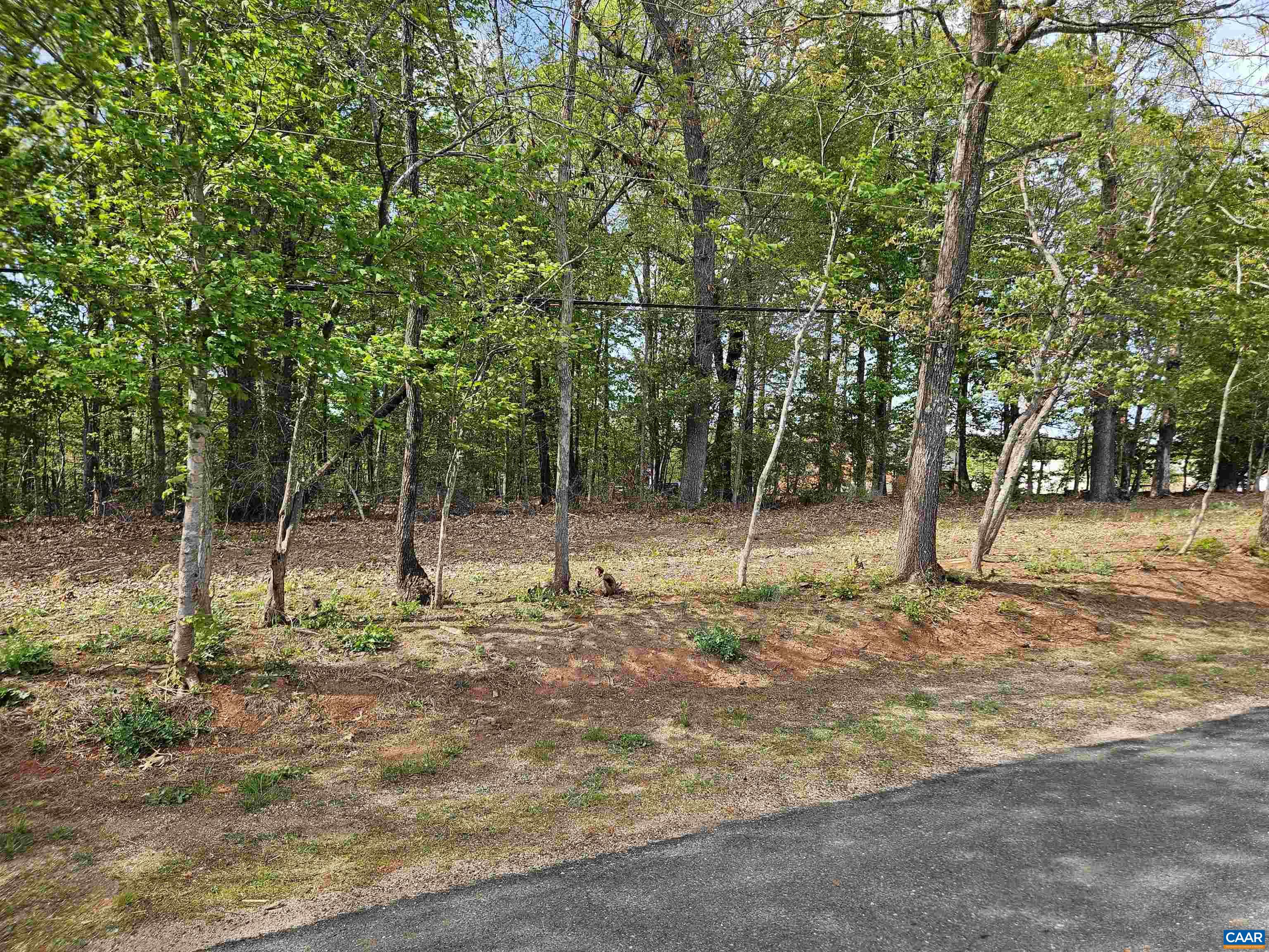 0.73 Ac N JAMES MADISON HWY, DILLWYN, Virginia 23936, ,Land,0.73 Ac N JAMES MADISON HWY,675863 MLS # 675863