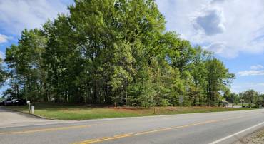 0.73 Ac N JAMES MADISON HWY, DILLWYN, Virginia 23936, ,Land,0.73 Ac N JAMES MADISON HWY,675863 MLS # 675863