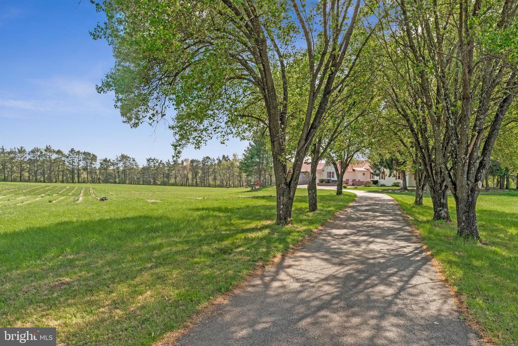 6227 LIBERTY RD, BEALETON, Virginia, 3 Bedrooms Bedrooms, ,3 BathroomsBathrooms,Residential,6227 LIBERTY RD,VAFQ2021562 MLS # VAFQ2021562