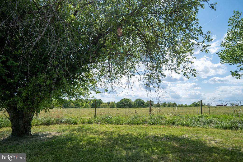 4689 FREDERICKS HALL RD, MINERAL, Virginia 23117, 5 Bedrooms Bedrooms, ,2 BathroomsBathrooms,Residential,4689 FREDERICKS HALL RD,VALA2009660 MLS # VALA2009660