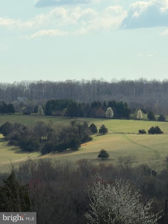 3039 CLEARVIEW FARM LANE, WARRENTON, Virginia 20186, 6 Bedrooms Bedrooms, ,5 BathroomsBathrooms,Residential,3039 CLEARVIEW FARM LANE,VAFQ2021320 MLS # VAFQ2021320