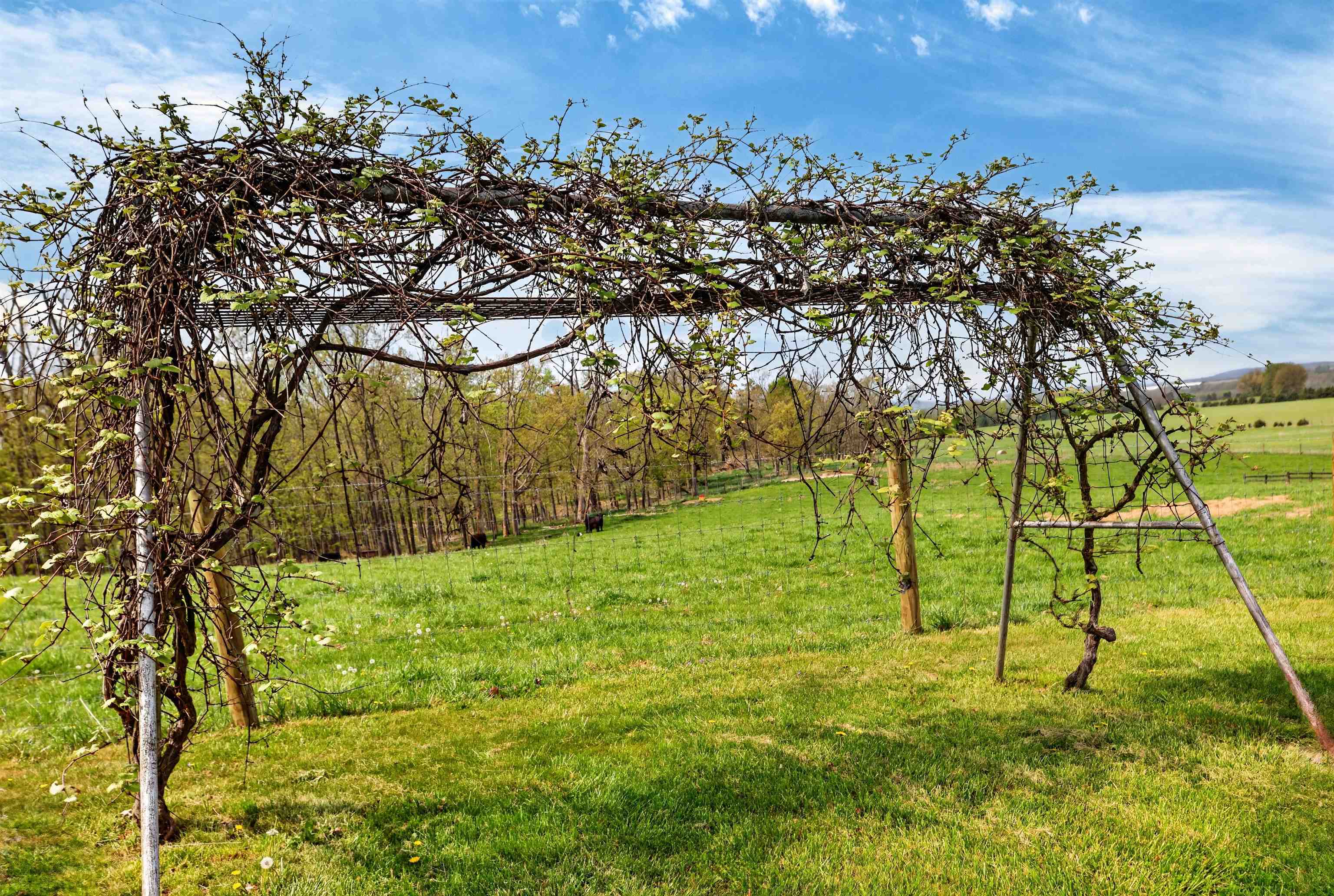 1522 DAM TOWN RD, FORT DEFIANCE, Virginia 24437, 3 Bedrooms Bedrooms, ,2 BathroomsBathrooms,Residential,1522 DAM TOWN RD,675869 MLS # 675869