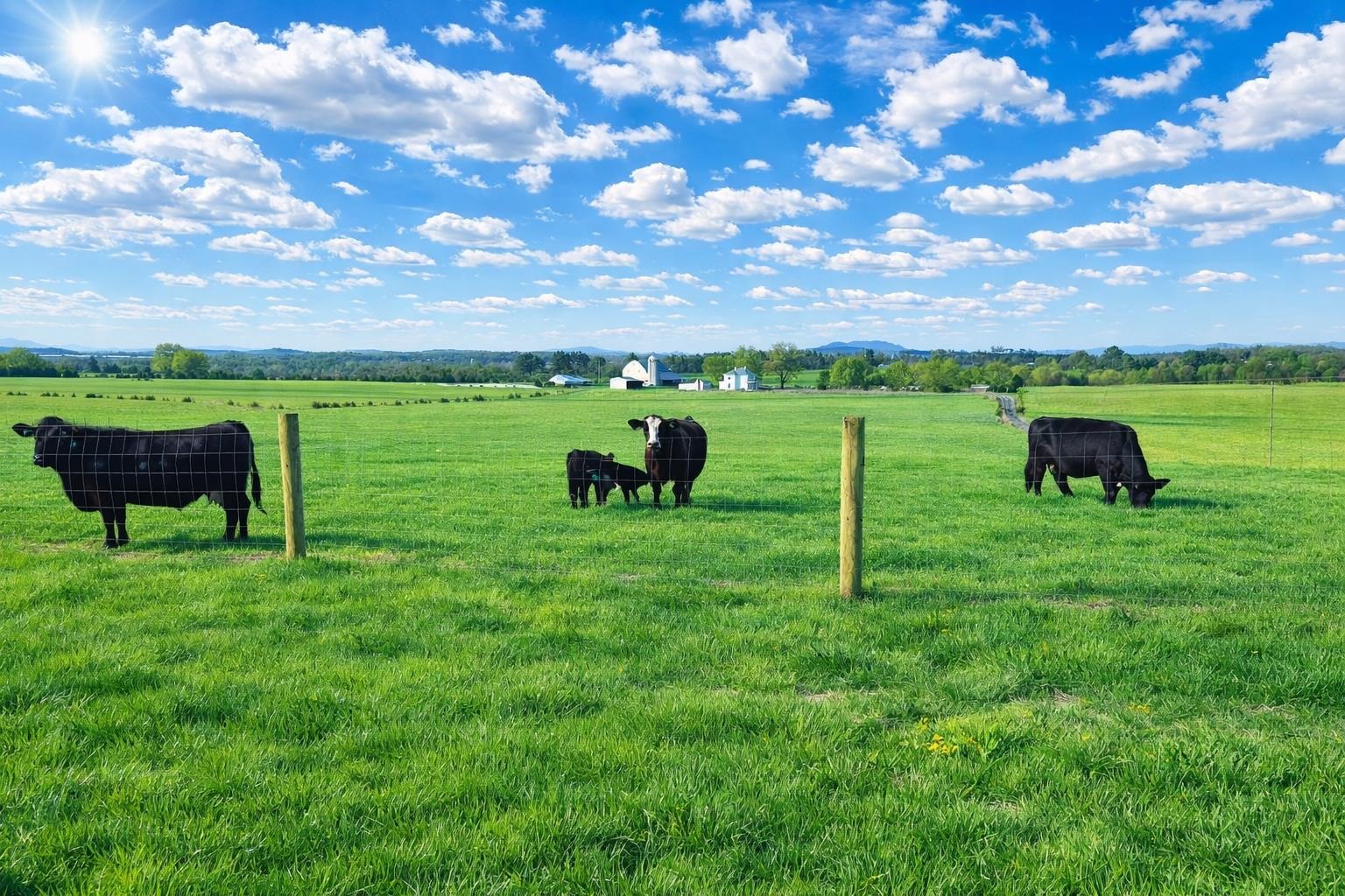 1522 DAM TOWN RD, FORT DEFIANCE, Virginia 24437, 3 Bedrooms Bedrooms, ,2 BathroomsBathrooms,Residential,1522 DAM TOWN RD,675869 MLS # 675869