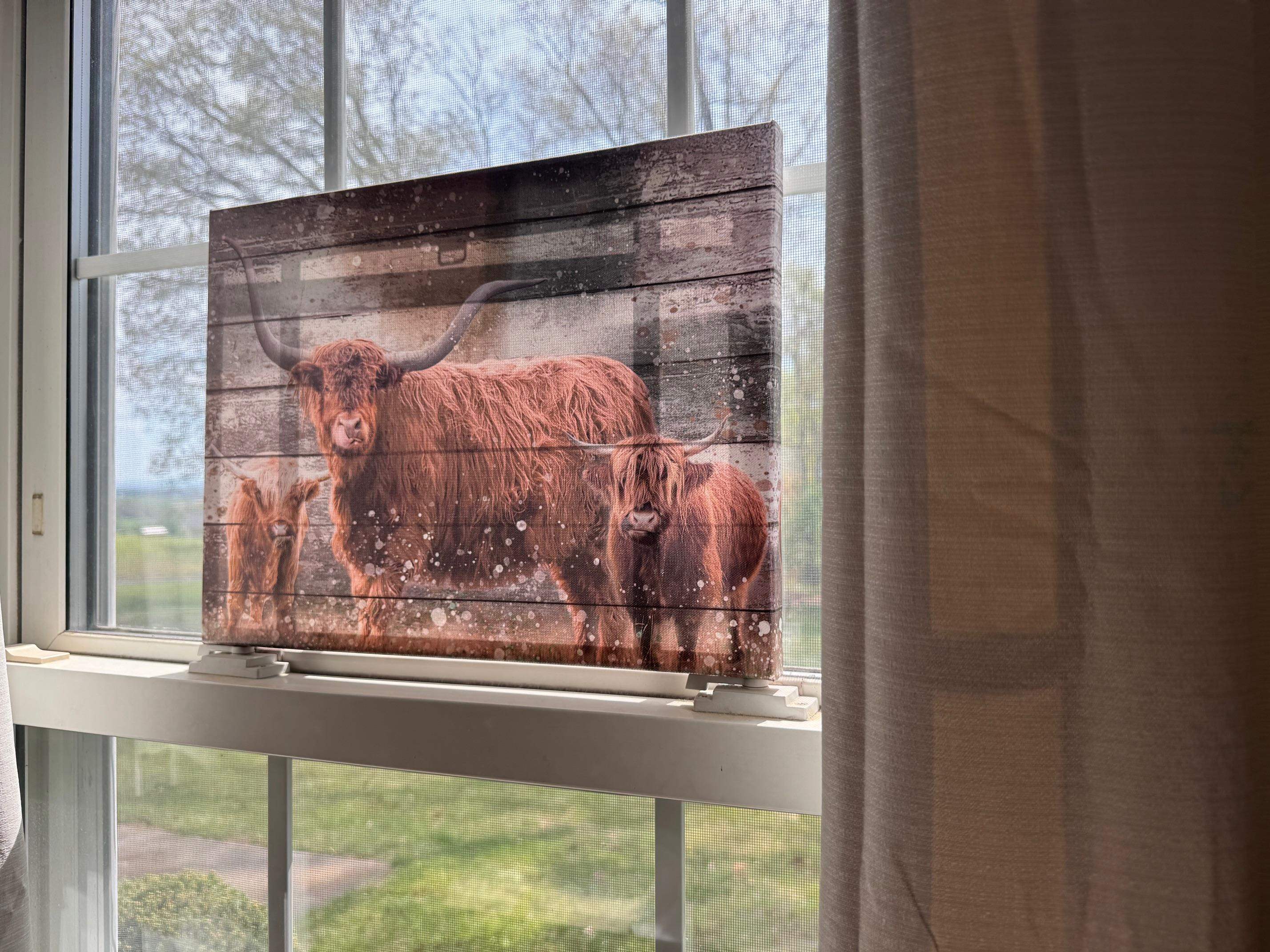 1522 DAM TOWN RD, FORT DEFIANCE, Virginia 24437, 3 Bedrooms Bedrooms, ,2 BathroomsBathrooms,Residential,1522 DAM TOWN RD,675869 MLS # 675869