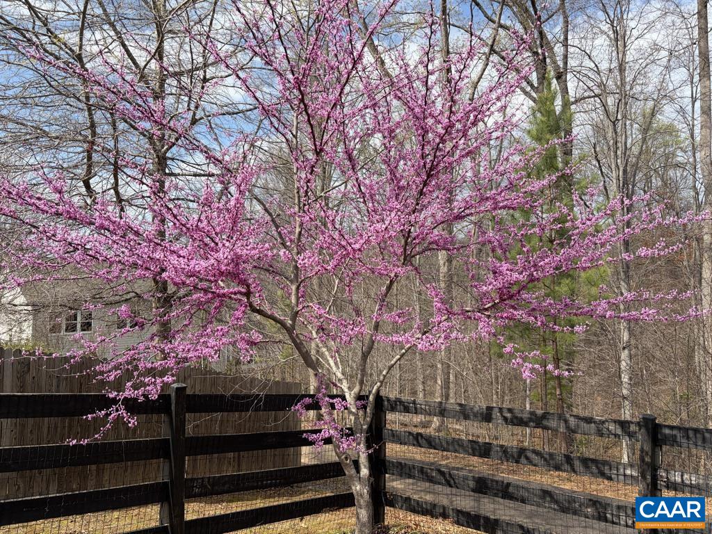 1238 PENFIELD LN, CHARLOTTESVILLE, Virginia 22901, 4 Bedrooms Bedrooms, ,4 BathroomsBathrooms,Residential,1238 PENFIELD LN,675871 MLS # 675871