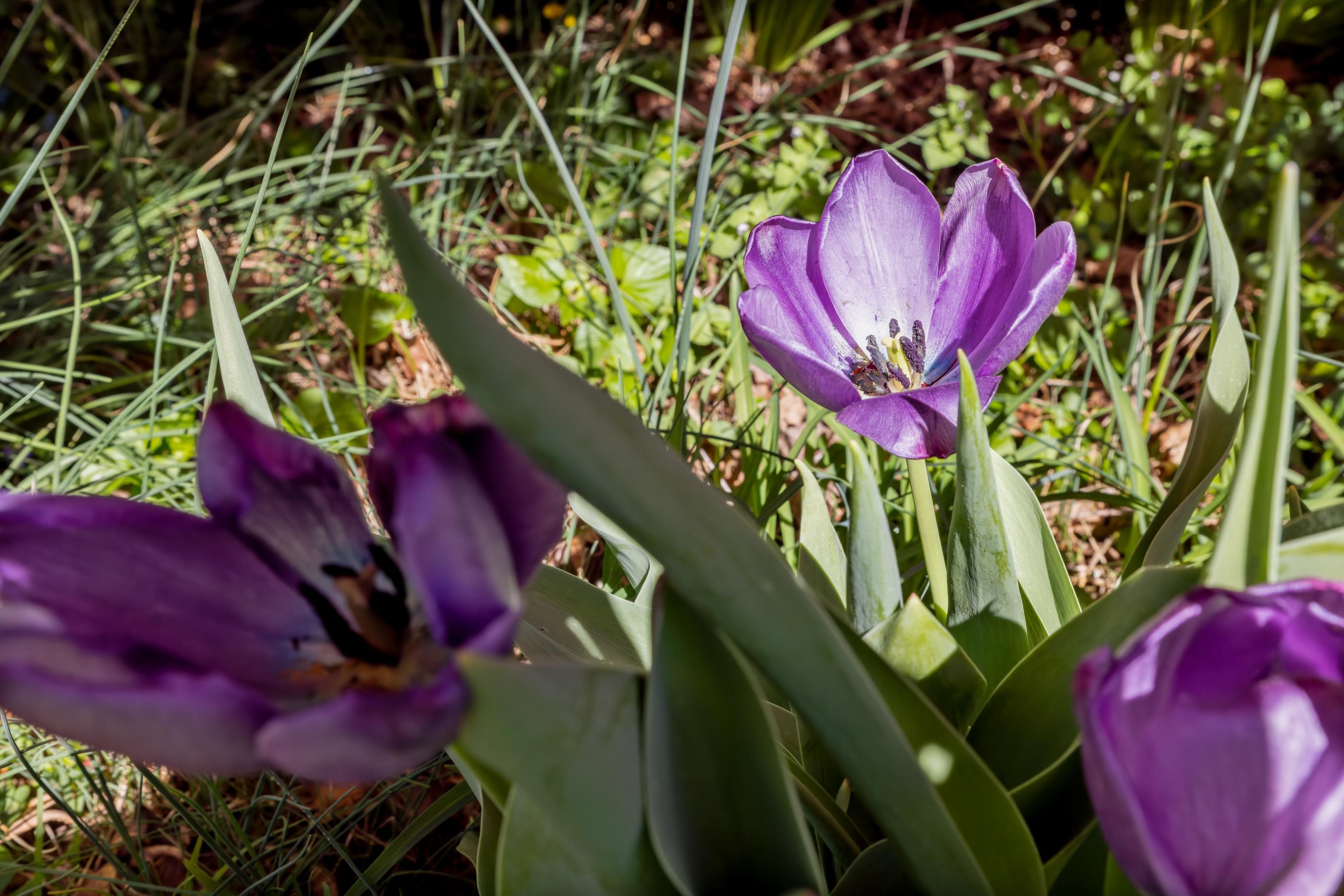 1368 BLUEWATER RD, ROCKINGHAM, Virginia 22801, 4 Bedrooms Bedrooms, ,3 BathroomsBathrooms,Residential,Home Sweet Home,1368 BLUEWATER RD,675875 MLS # 675875