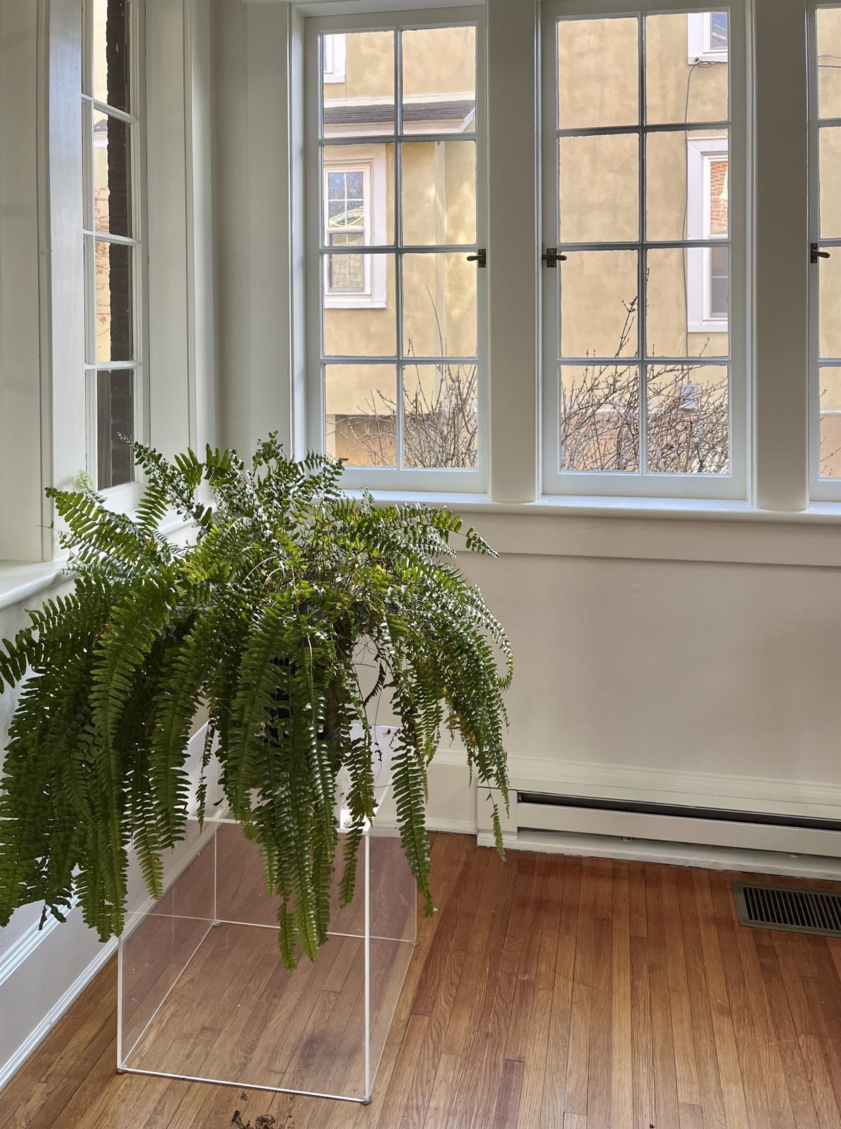 729 SELMA BLVD, STAUNTON, Virginia 24401, 4 Bedrooms Bedrooms, ,3 BathroomsBathrooms,Residential,729 SELMA BLVD,675877 MLS # 675877