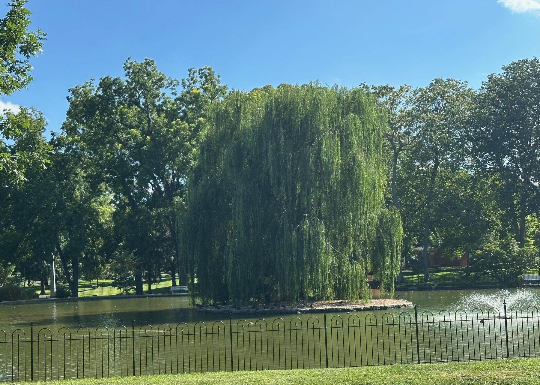 2403 PARK HILL RD, STAUNTON, Virginia 24401, 3 Bedrooms Bedrooms, ,1 BathroomBathrooms,Residential,2403 PARK HILL RD,675883 MLS # 675883