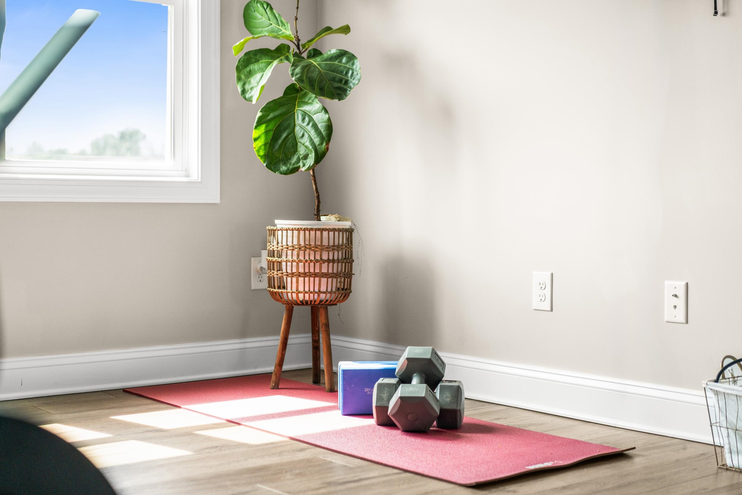 137 TOMASVILLE DR, WAYNESBORO, Virginia 22980, 4 Bedrooms Bedrooms, ,2 BathroomsBathrooms,Residential,The Layla,137 TOMASVILLE DR,675885 MLS # 675885