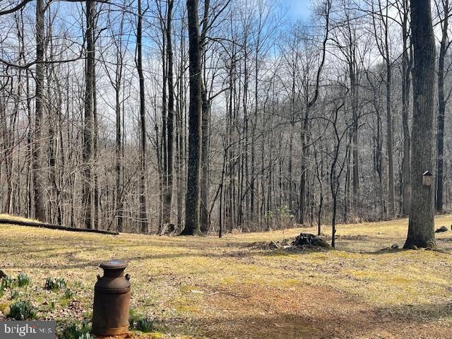 902 HARRIS HOLLOW RD, WASHINGTON, Virginia, 4 Bedrooms Bedrooms, ,4 BathroomsBathrooms,Residential,902 HARRIS HOLLOW RD,VARP2002516 MLS # VARP2002516