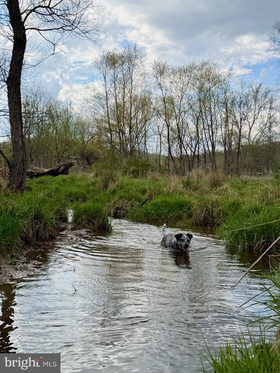 1901 MISTY MEADOWS LN, MARKHAM, Virginia, 2 Bedrooms Bedrooms, ,2 BathroomsBathrooms,Residential,1901 MISTY MEADOWS LN,VAFQ2021462 MLS # VAFQ2021462