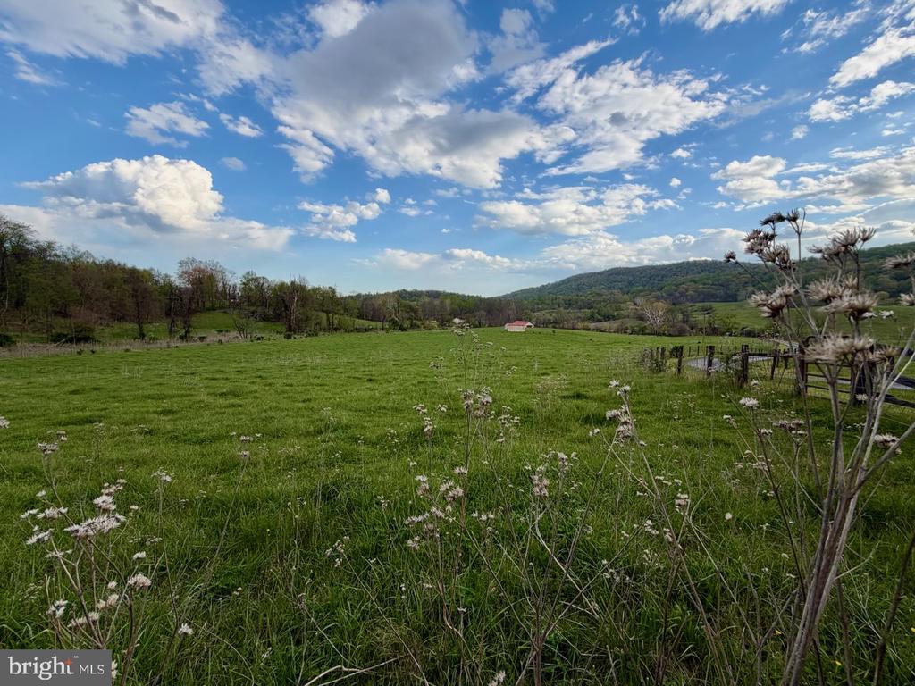 1901 MISTY MEADOWS LN, MARKHAM, Virginia, 2 Bedrooms Bedrooms, ,2 BathroomsBathrooms,Residential,1901 MISTY MEADOWS LN,VAFQ2021462 MLS # VAFQ2021462