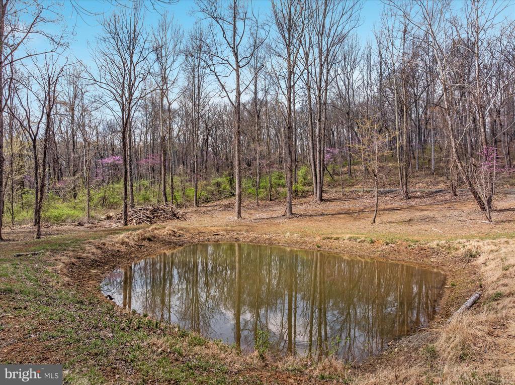 8189 SUMMERFIELD HILLS DR, WARRENTON, Virginia 20186, 5 Bedrooms Bedrooms, ,4 BathroomsBathrooms,Residential,8189 SUMMERFIELD HILLS DR,VAFQ2021482 MLS # VAFQ2021482