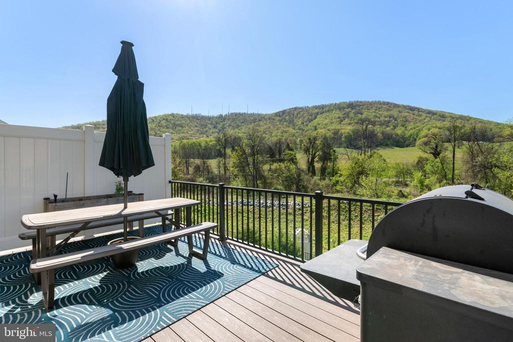 5045 MARY JACKSON CT, CHARLOTTESVILLE, Virginia 22903, 3 Bedrooms Bedrooms, ,2 BathroomsBathrooms,Residential,The Holly I - Interior Unit,5045 MARY JACKSON CT,VAAB2001204 MLS # VAAB2001204