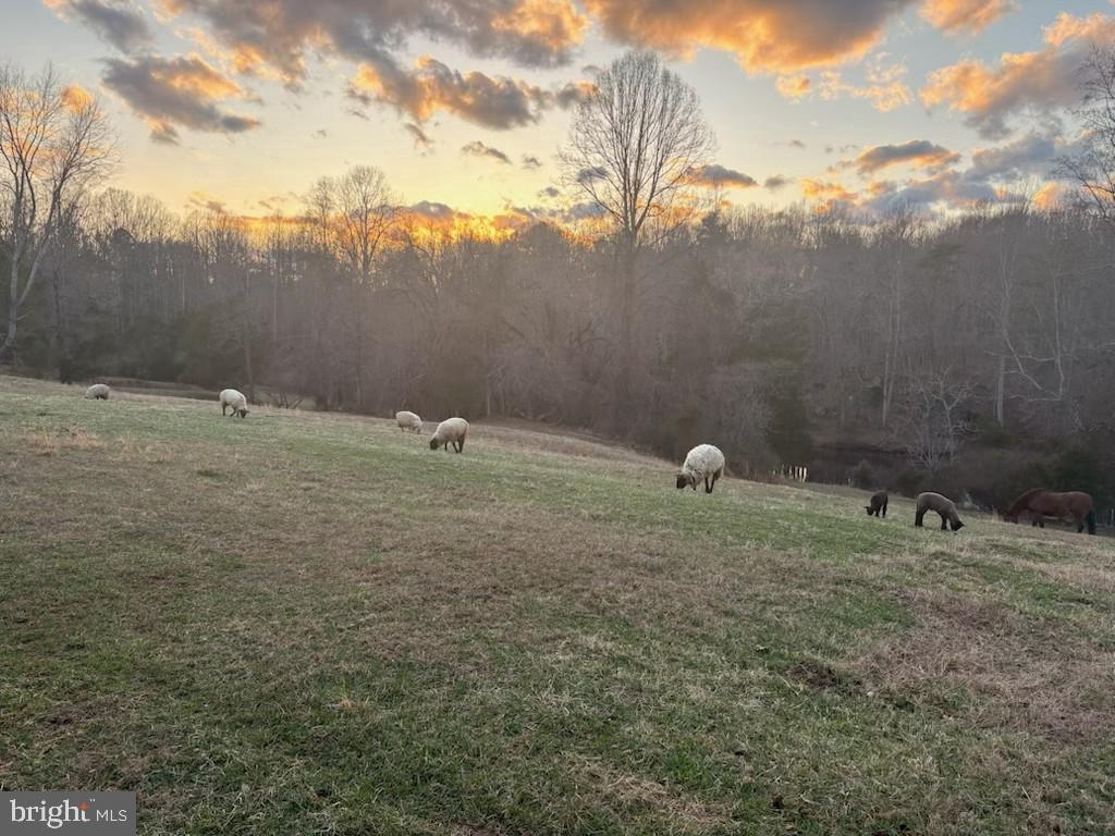 10468 LA GRANT LN, CULPEPER, Virginia 22701, 3 Bedrooms Bedrooms, ,2 BathroomsBathrooms,Residential,10468 LA GRANT LN,VACU2013318 MLS # VACU2013318