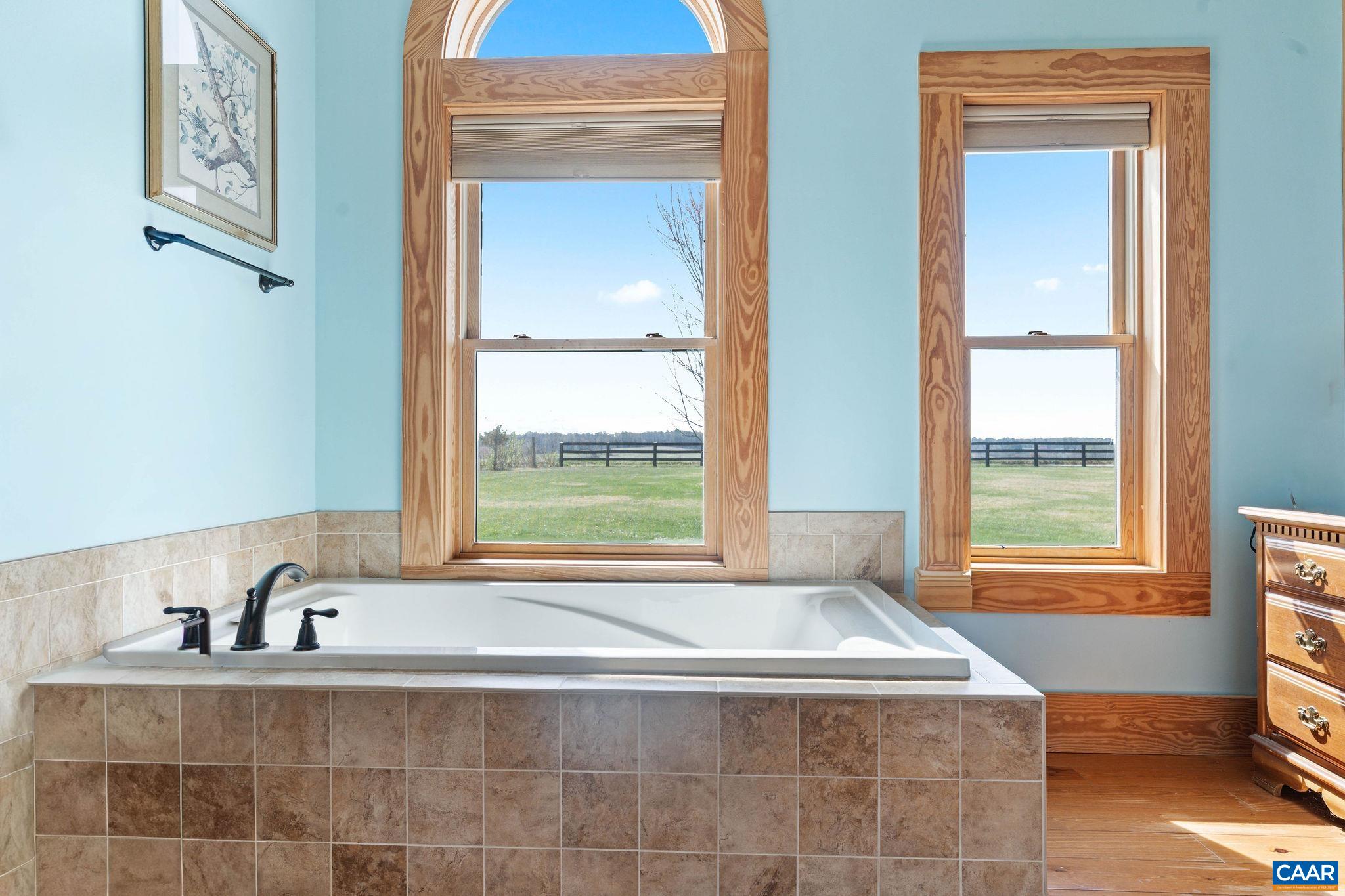 42 RIVER RIDGE LN, RUCKERSVILLE, Virginia 22968, 4 Bedrooms Bedrooms, ,4 BathroomsBathrooms,Residential,42 RIVER RIDGE LN,675595 MLS # 675595