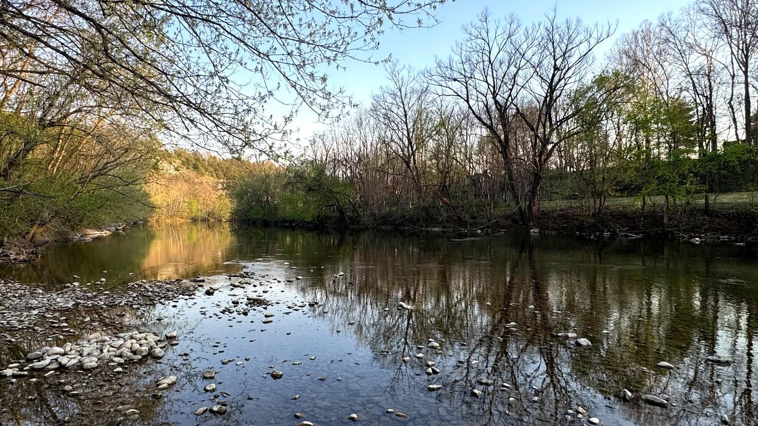 1008 SHIPWRECK DR, NEW MARKET, Virginia 22844, 4 Bedrooms Bedrooms, ,2 BathroomsBathrooms,Residential,1008 SHIPWRECK DR,675685 MLS # 675685