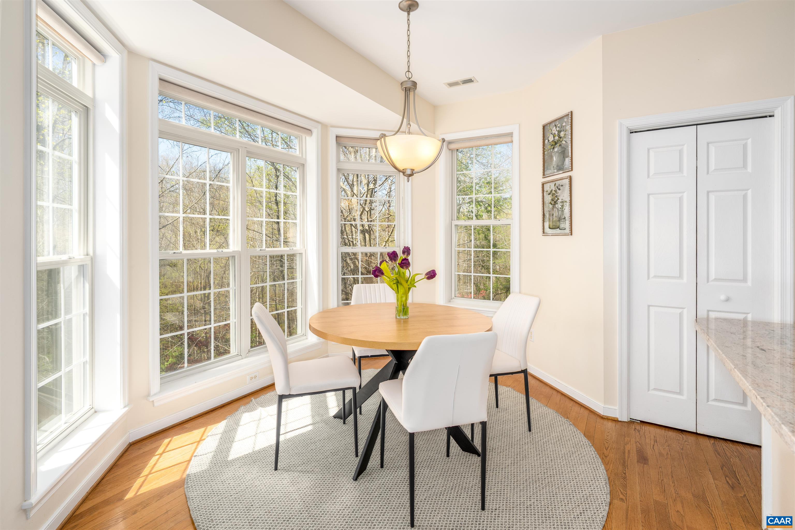 213 FOX HORN LN, CHARLOTTESVILLE, Virginia 22902, 4 Bedrooms Bedrooms, ,3 BathroomsBathrooms,Residential,213 FOX HORN LN,675796 MLS # 675796