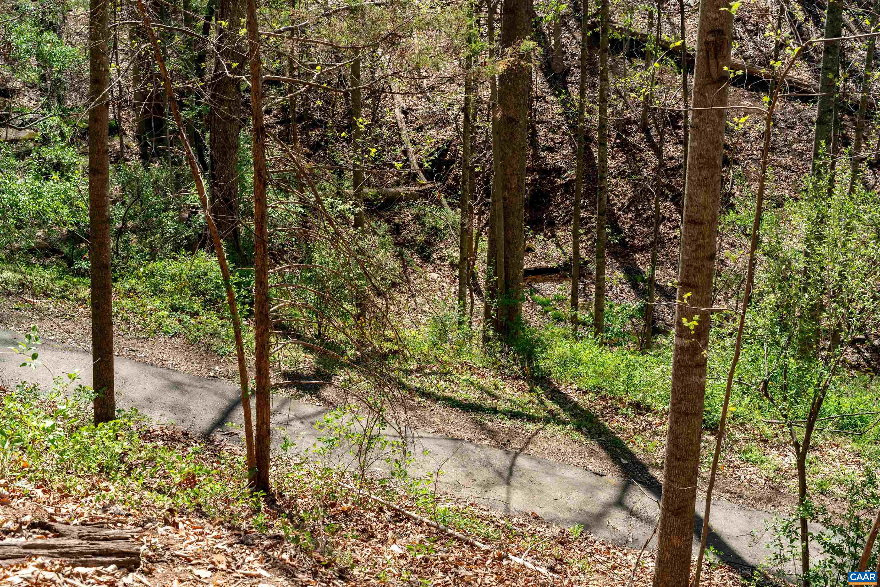 213 FOX HORN LN, CHARLOTTESVILLE, Virginia 22902, 4 Bedrooms Bedrooms, ,3 BathroomsBathrooms,Residential,213 FOX HORN LN,675796 MLS # 675796