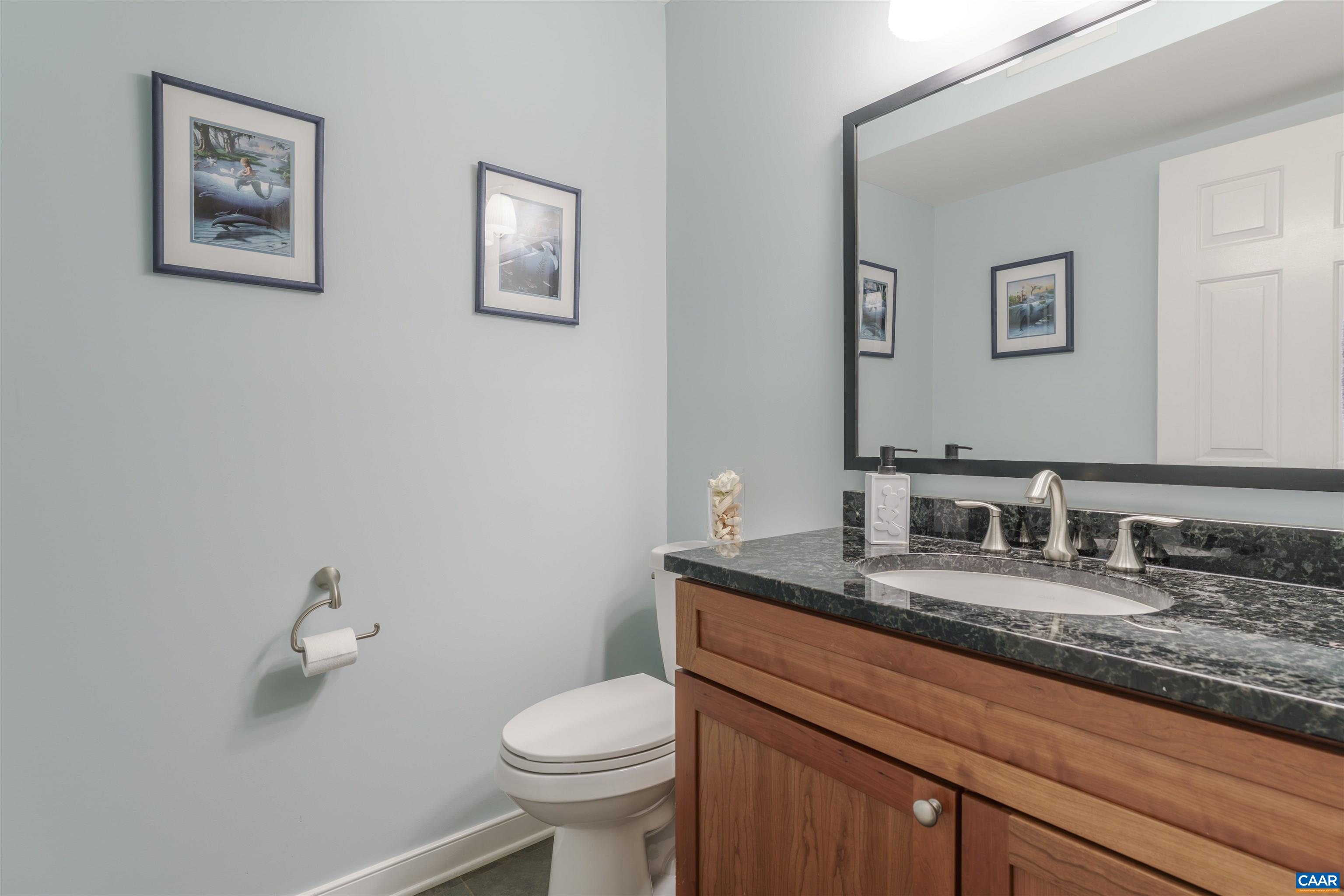 2700 WILLOW OAK CIR, CHARLOTTESVILLE, Virginia 22901, 4 Bedrooms Bedrooms, ,2 BathroomsBathrooms,Residential,Ivy Oaks -Exceptional Ivy Retreat | Outdoor Kitche,2700 WILLOW OAK CIR,675798 MLS # 675798