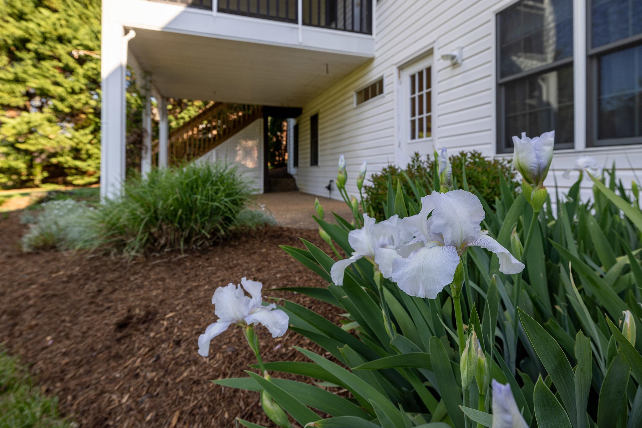 3029 BROOKSTONE DR, ROCKINGHAM, Virginia 22801, 5 Bedrooms Bedrooms, ,3 BathroomsBathrooms,Residential,3029 BROOKSTONE DR,675898 MLS # 675898